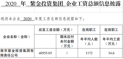 2020年紫金投資集團工資總額信息披露（人力確認）.png